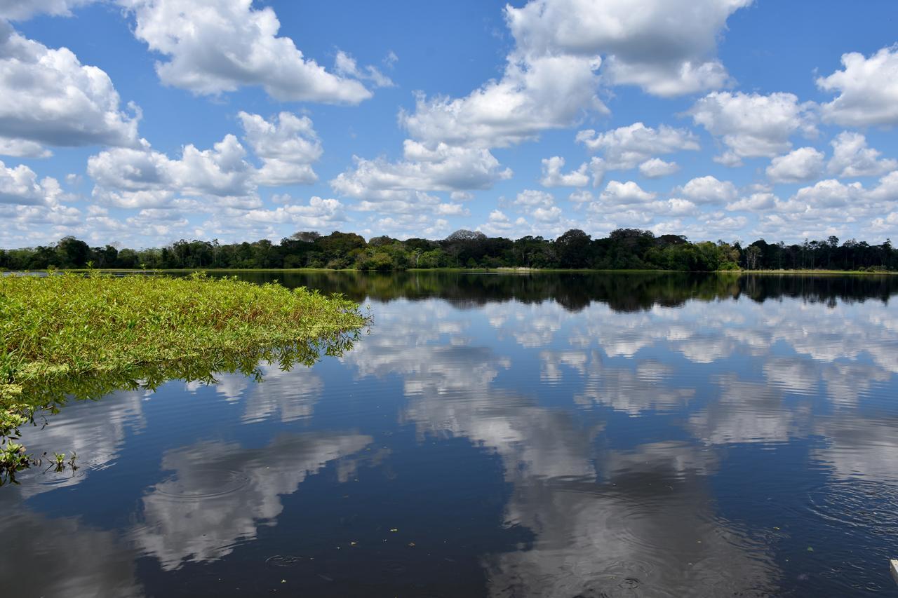 Yaku Amazon Lodge & Expeditions Paraíso 외부 사진